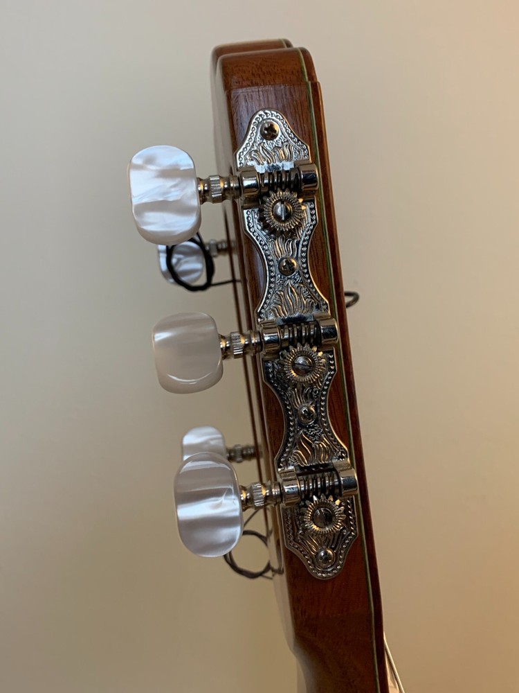 Classical Guitar Antonio Torres FE17 Model