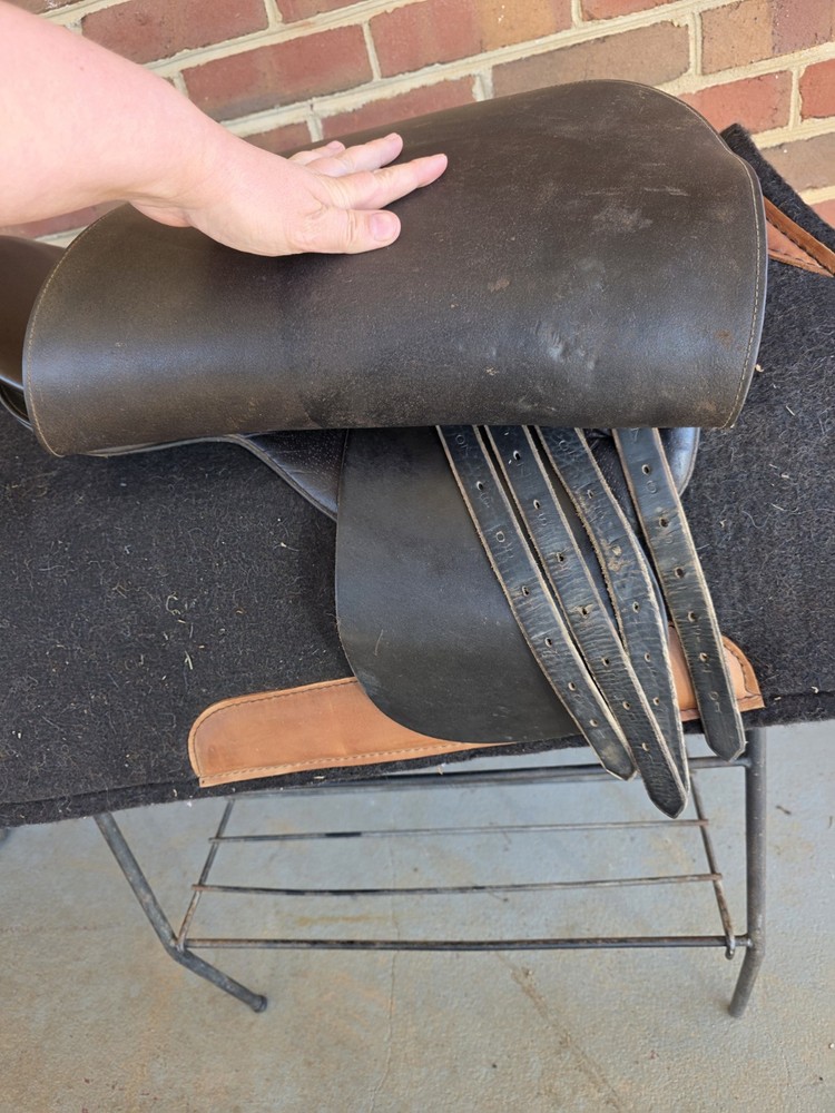 21" Cutback Campbell Saddle adjustable bars