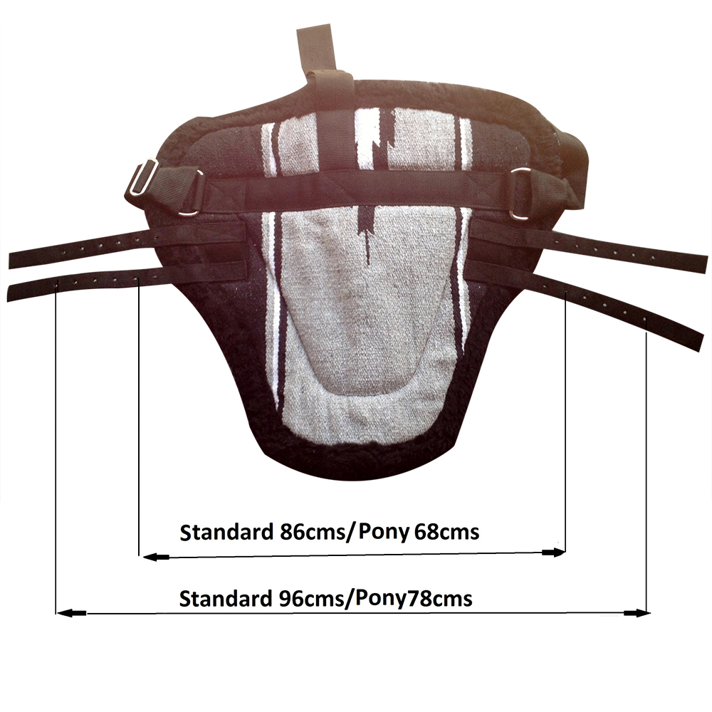 Bare Back Riding Pad with Removable Stirrups from Pet Lovers NZ (Hack Size)