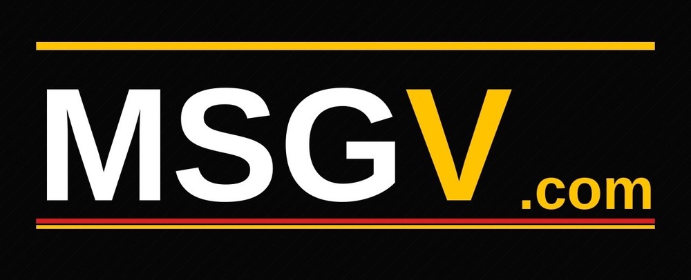 MSGV.com  - 4 letter PREMIUM Domain Name