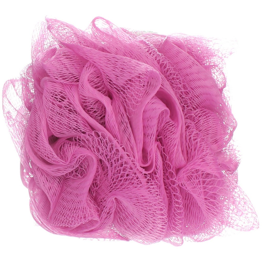 2 Pack Body Benefits By Body Image Net Bath Pouf