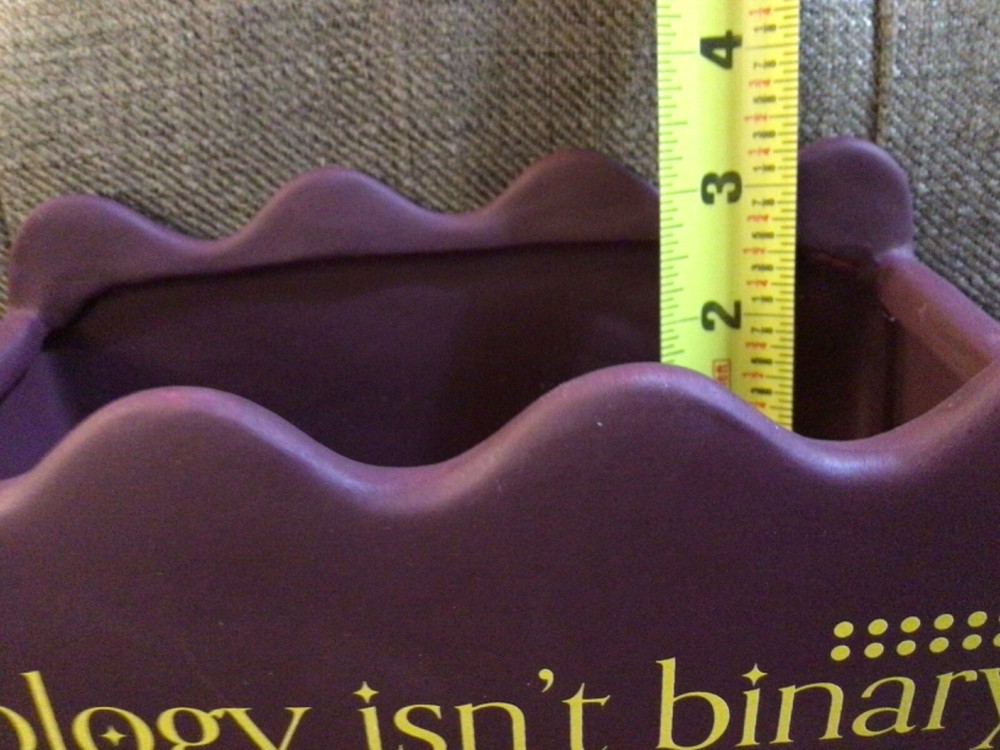 Target Pride Collection Biology Isn't Binary Purple Ceramic Pot Planter NEW