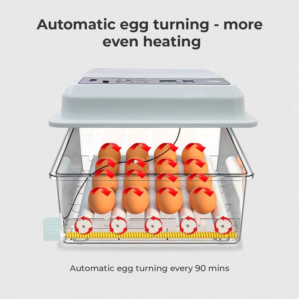 Egg Incubator 36 Eggs with Temperature Humidity Control Automatic Turning UK