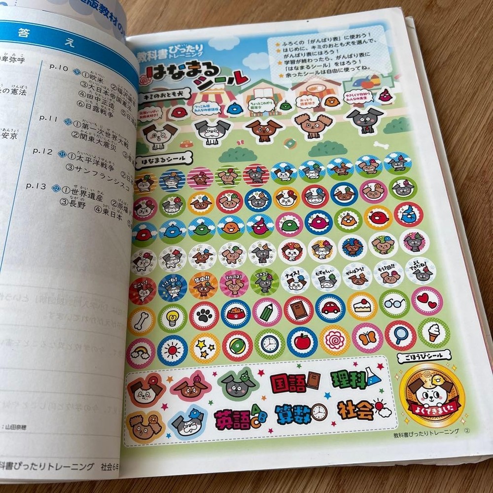 Japanese school textbook Perfect training for 6th grade elementary textbooks Sci