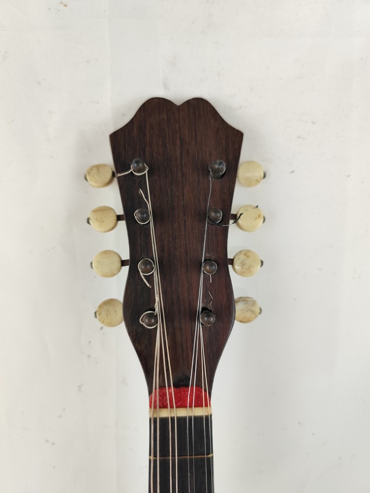 Mandolin 4/4 Raffaele Disantino 1915 曼陀林 만돌린マンドリン