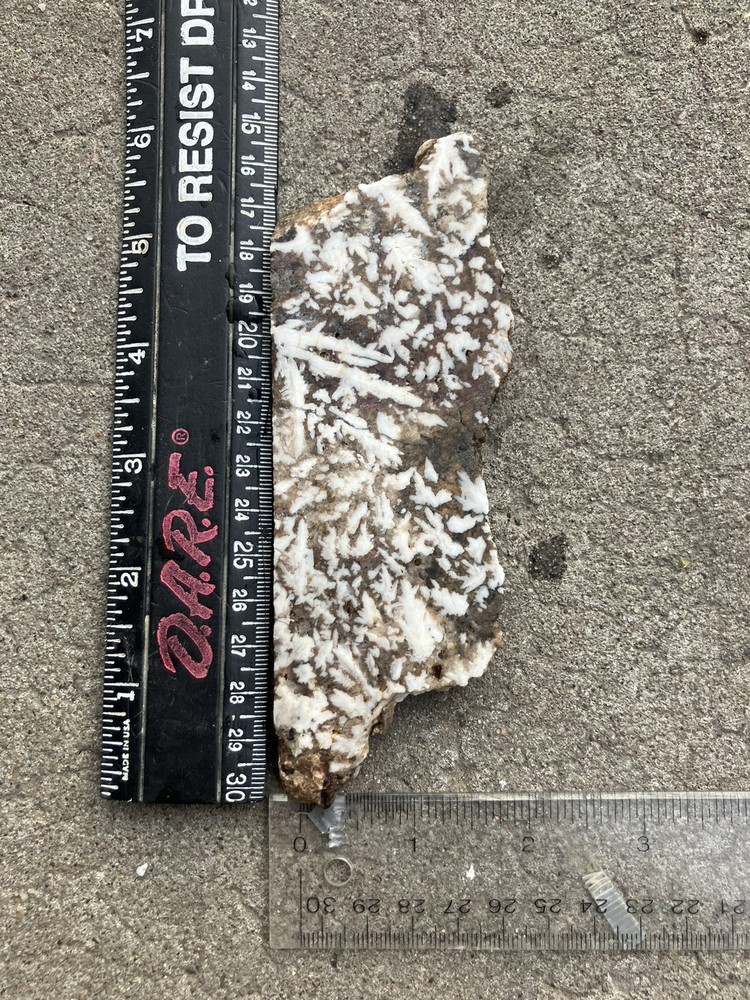 Mexican Snow Plume Agate Slab