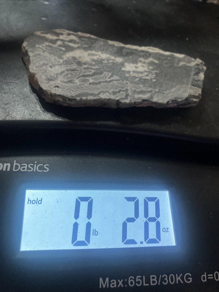 Zebra Jasper Slab