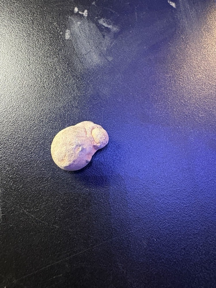 Dug Civil War Relic