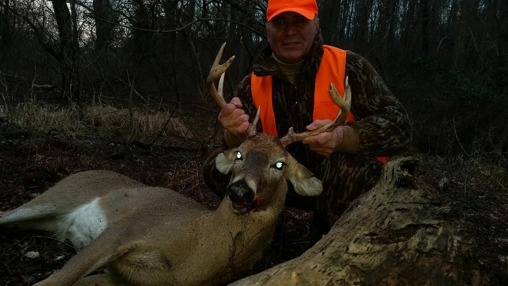 Hot Whitetail Doe Estrous