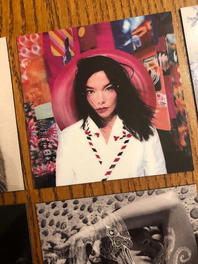 Bjork fridge magnets