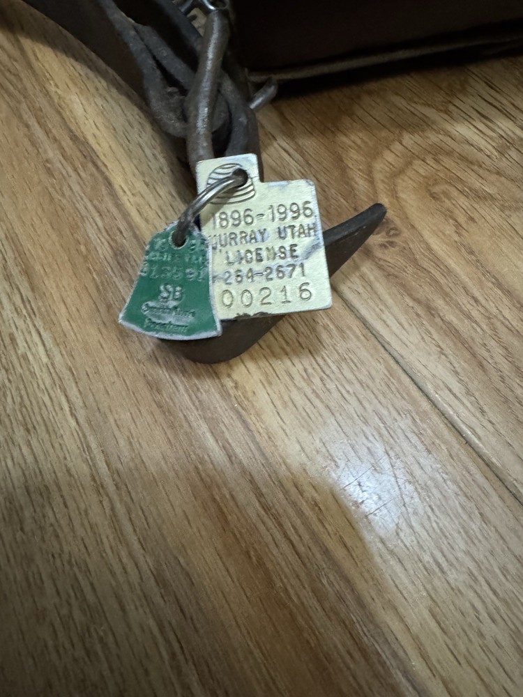 Vintage Dog Collar Chain And Tag