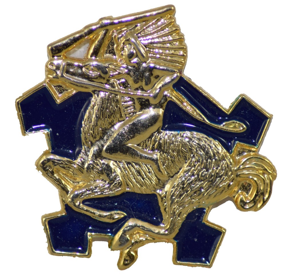 9TH CAV RGT HAT PIN
