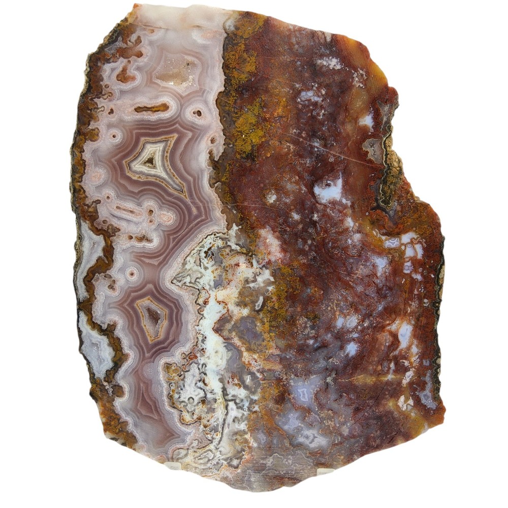 Moroccan Agate, slab, cabbing rough, lapidary, #R-6391