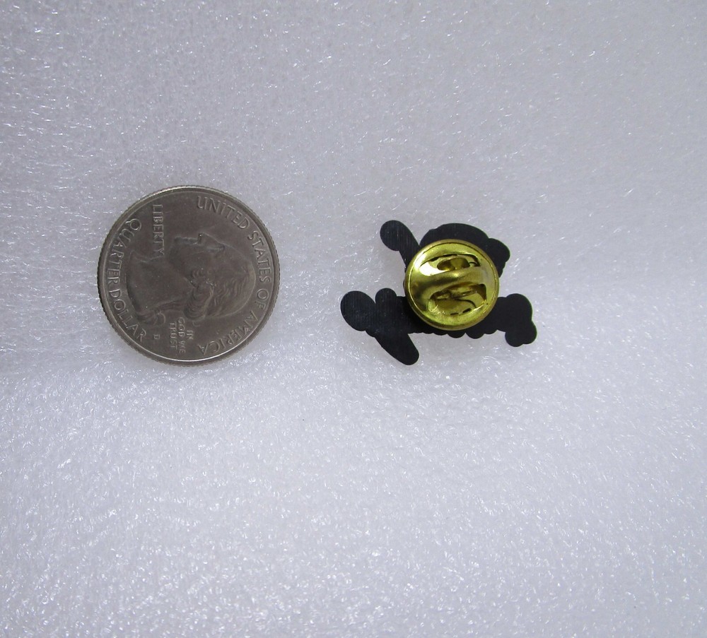 America's River Plastic Pin