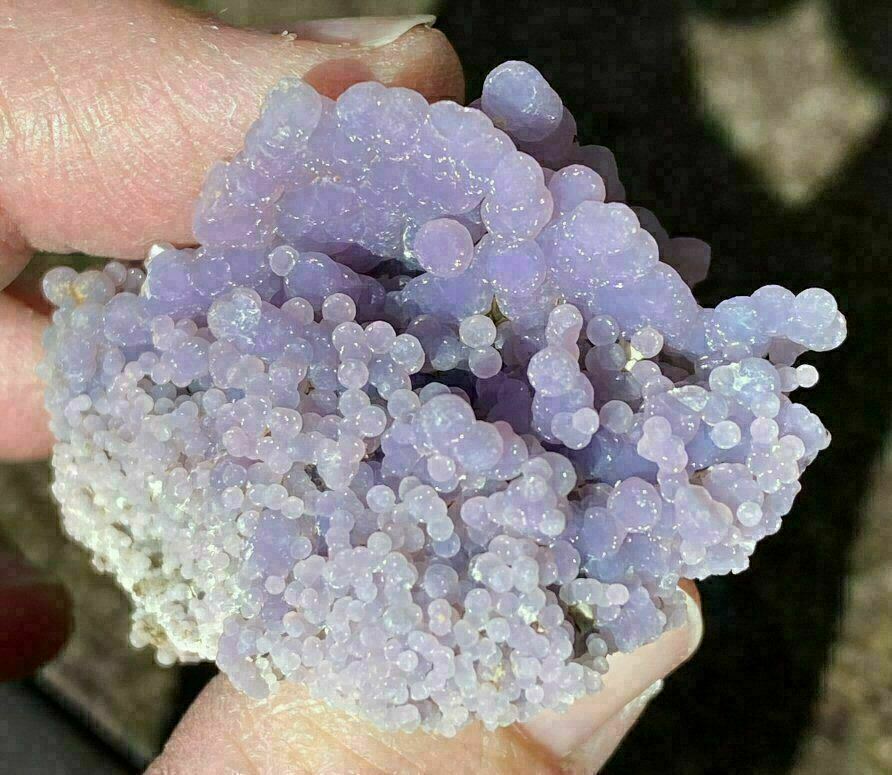~Weird~ Botryoidal Grape Chalcedony Specimen - AKA Mankarra Agate - C9