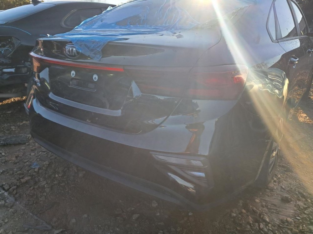 FORTE 2019 Glove Box 4904208