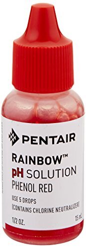 R161018 Pentair Ph Solution 1/2Oz.