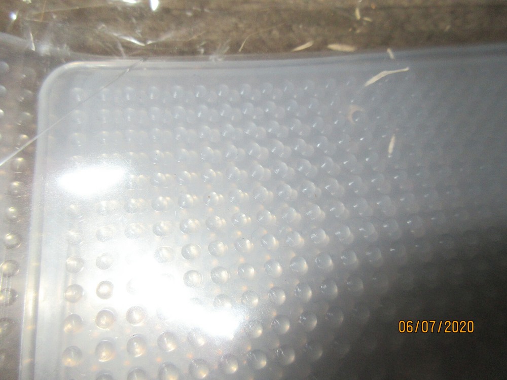 Three Sets Of 12 Stretch Lids