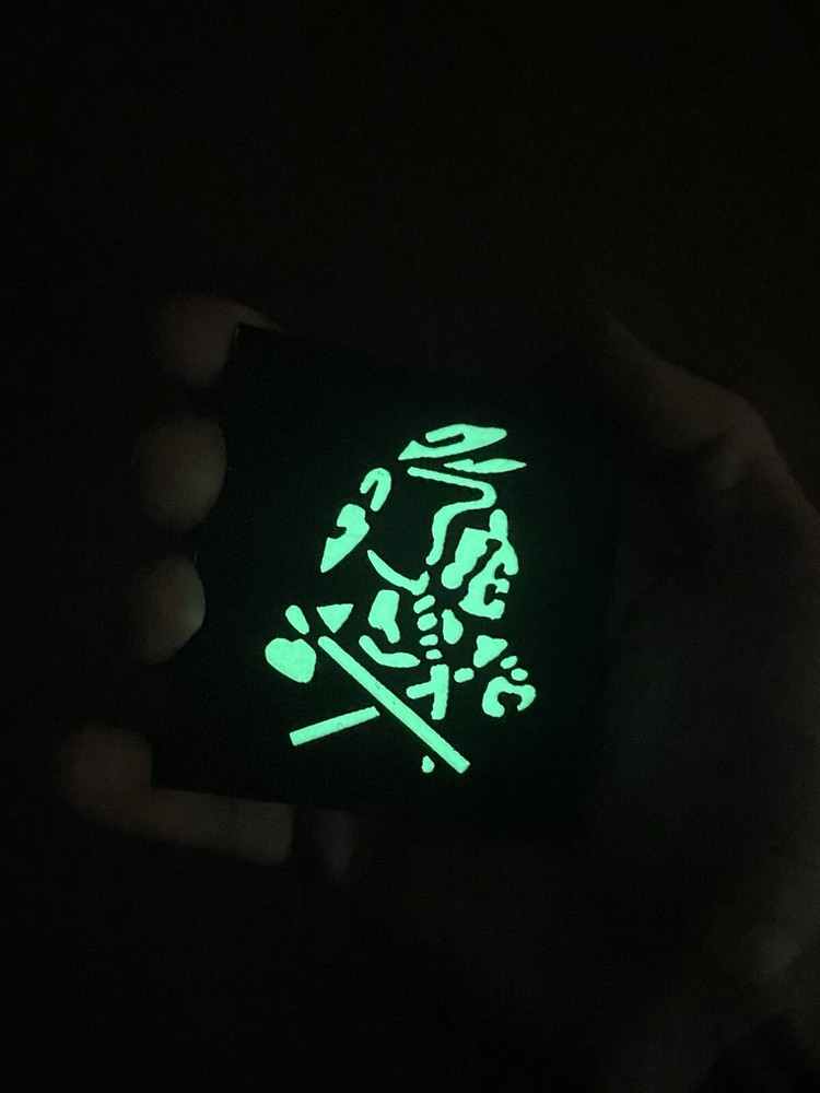 Seal Team 6 Red Squadron Glow Patch DEVGRU Team Bin Laden Hook Backed Reflective