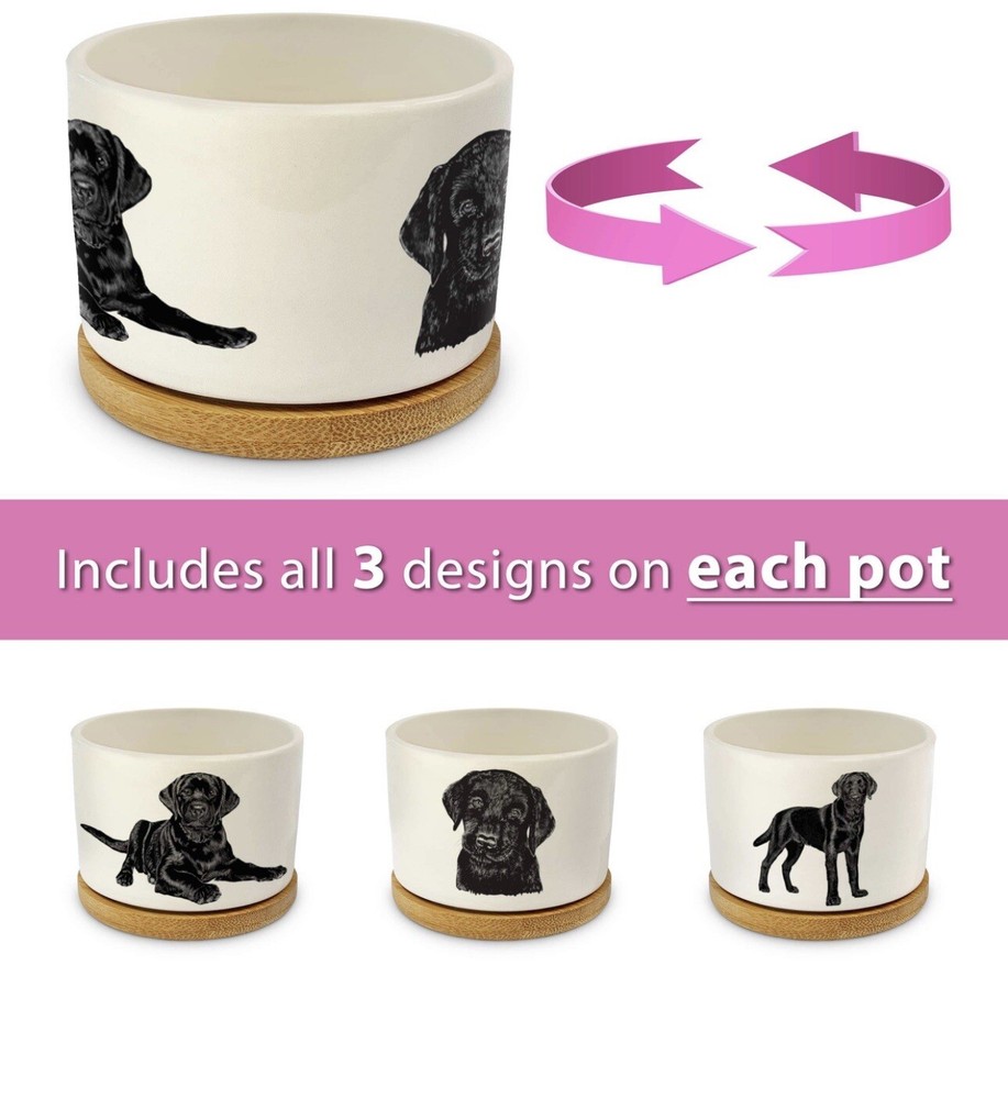 Set Of Tree Labrador Planters-Open Box-ceramic-Open Box/No Original Box