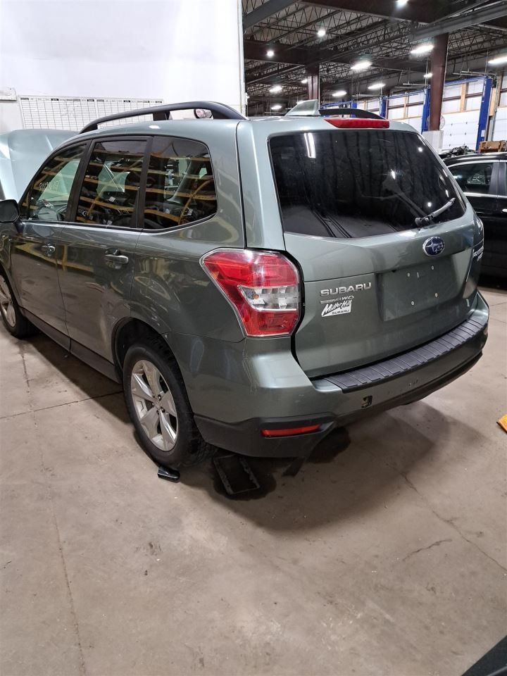 2016 Forester Jack Sku#4352629