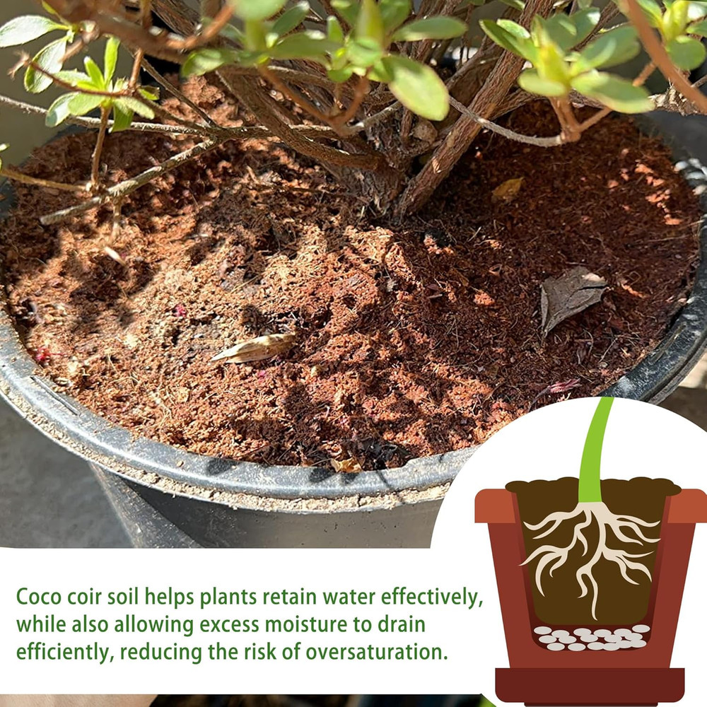 Coconut Coir Bricks 8-Pack Expands 72 Quarts Potting Mix Amendment Seed Start