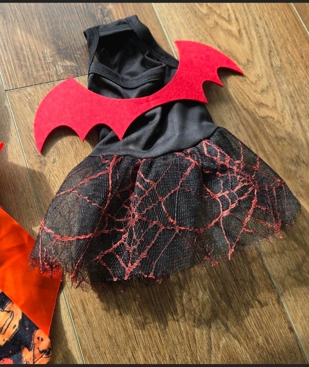 Cat Halloween Costume For pet