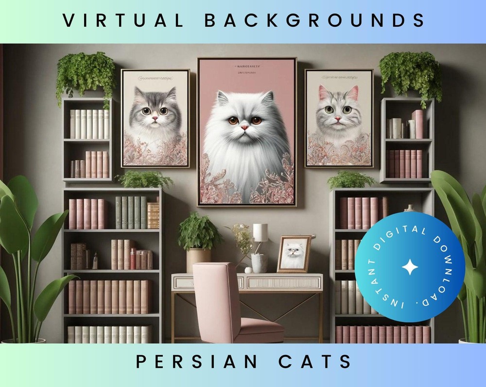 Persian Cat Pink Zoom Backgrounds