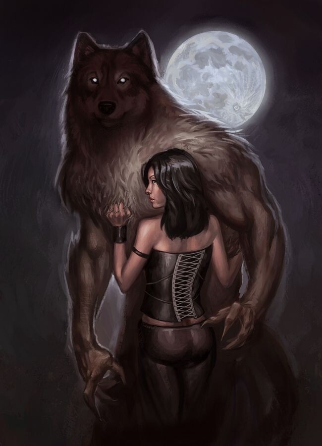 Metaphysical Meet A Werewolf