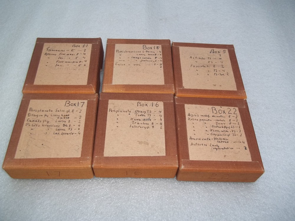 Vintage Glass Microscope Slides - 6 x Boxes