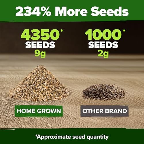 Roquette Seeds 4350+ Bulk Pack Heirloom Non-GMO, High 2-Pack Arugula