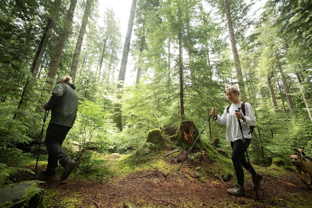 Cascade Mountain Tech Trekking Poles