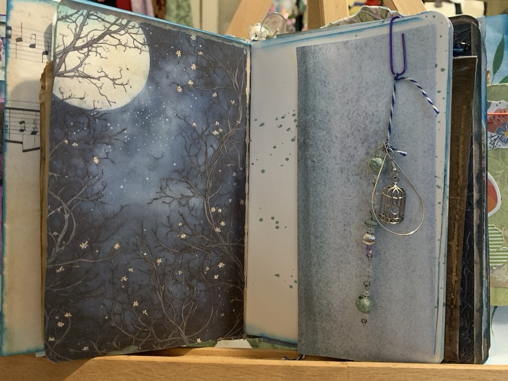 Hidden Castle Mystery Journal