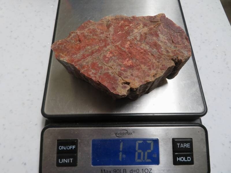 Petrified Wood 1 lbs & 6 ozs