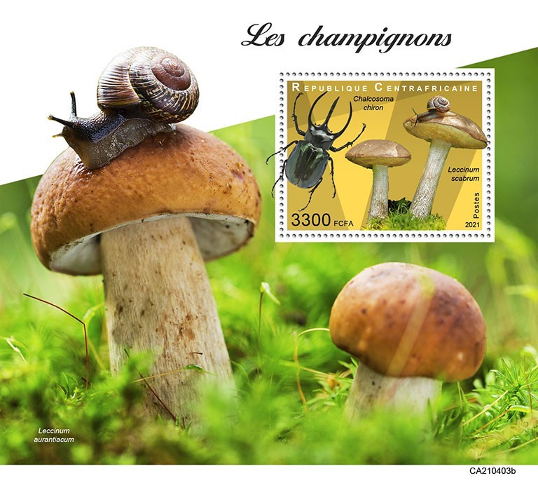Mushrooms