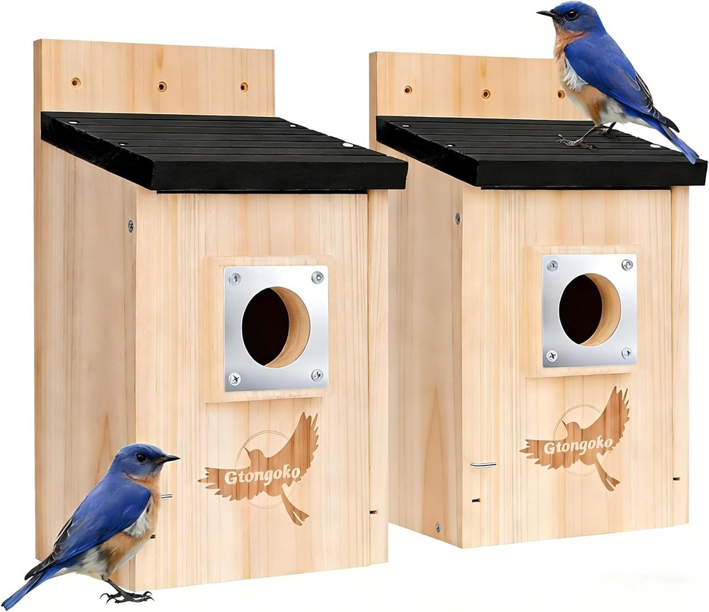 Dual Pack Bluebird Nesting Boxes with Metal Guard