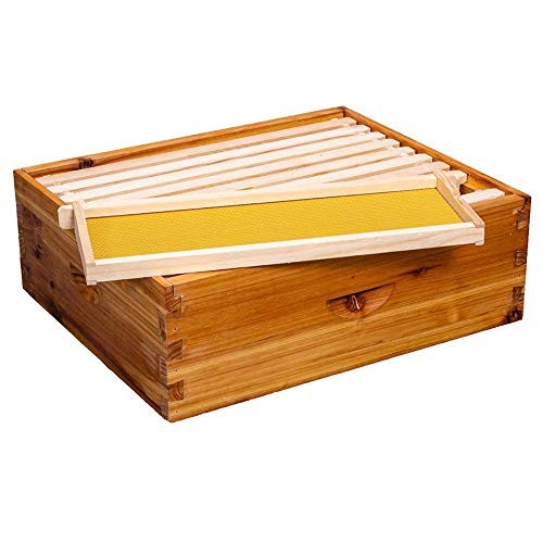 10-Frame Beehive Box Langstroth Medium Super Bee Box for Sale Wax Unassembled