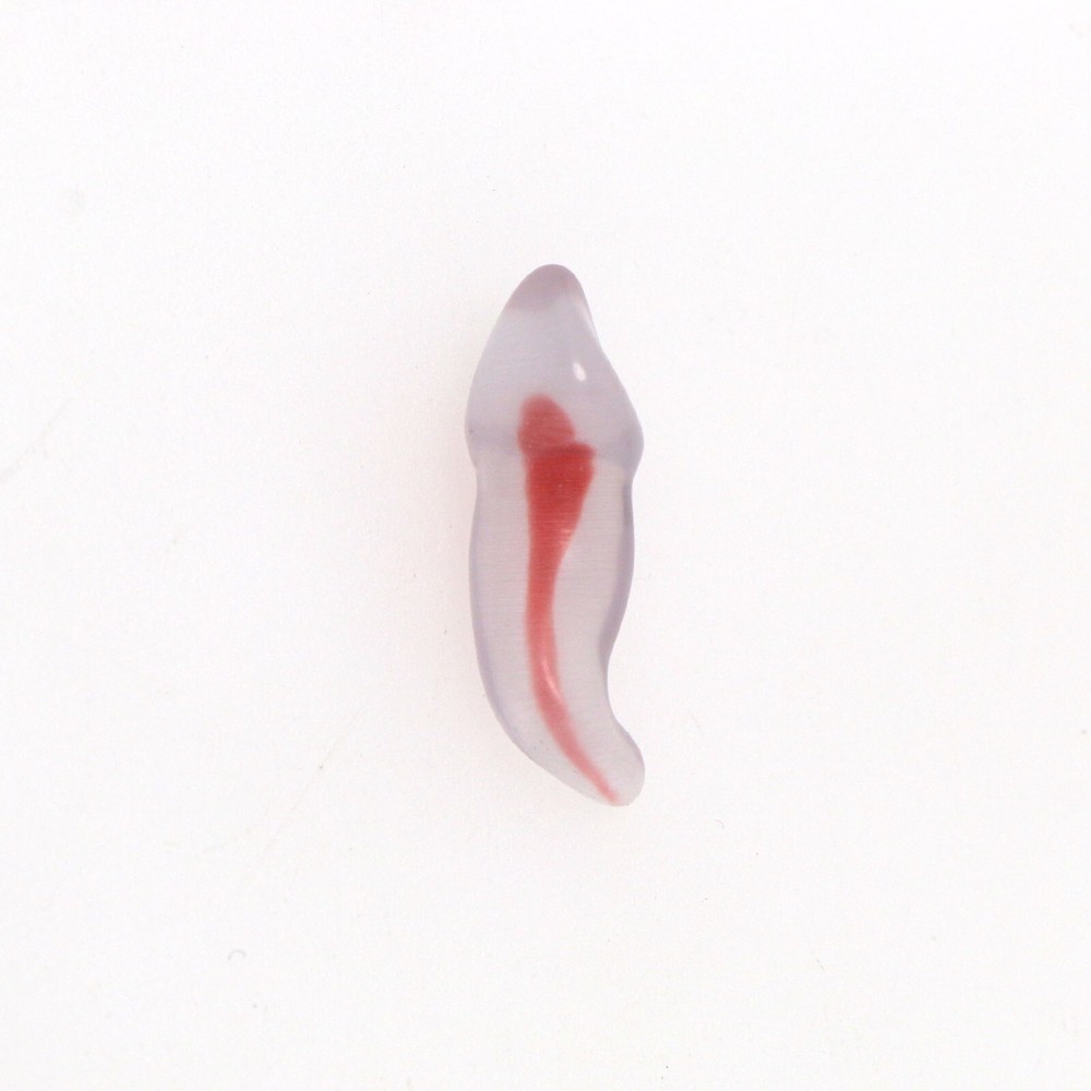 Dental Resin Endo Root Canal Teeth Model Practice Block RCT Pulp Cavity Study