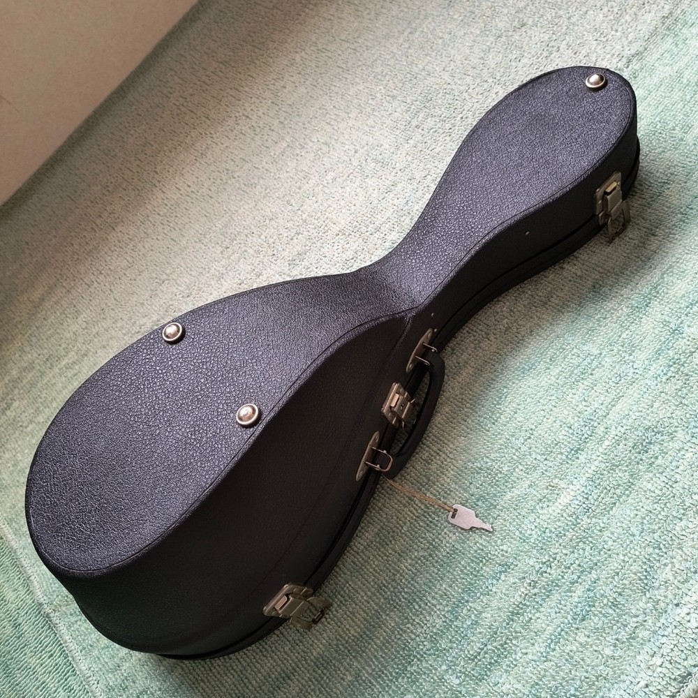 Mandolin M-30