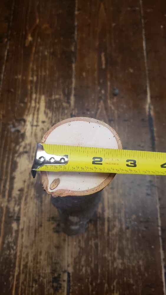 MAPLE Turning Crotch Log 10" Long M4319
