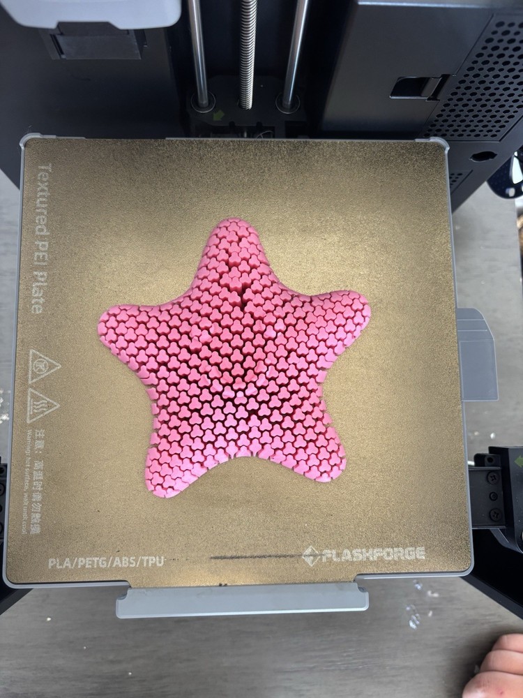 3D Printed Flexi Starfish