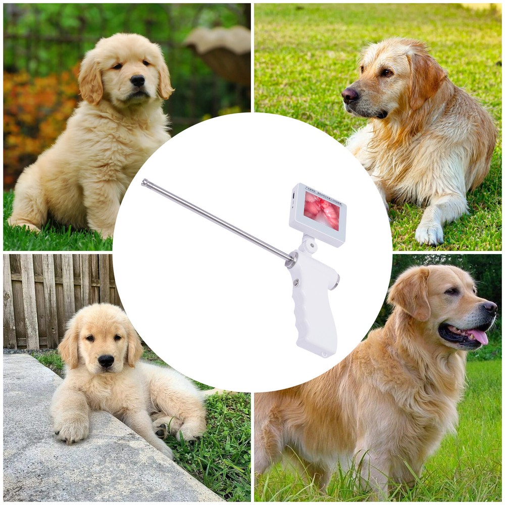 Dog Artificial Insemination AI Gun Breeding Device Visual Endoscope Veterinary