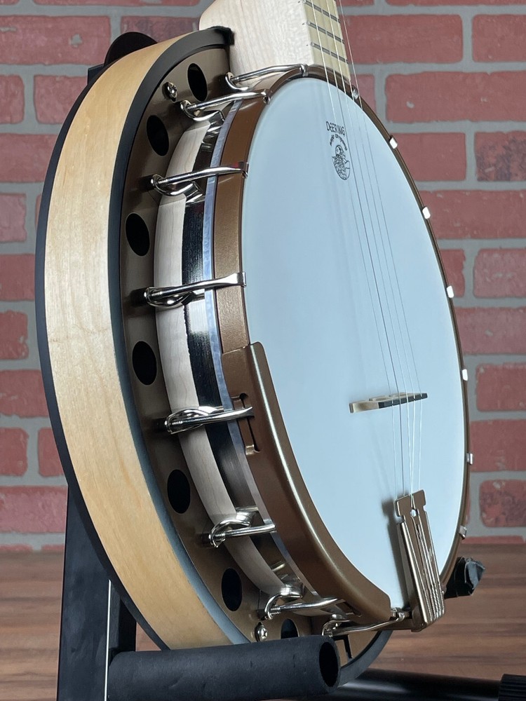 Deering Goodtime Special Deco 5-string Banjo