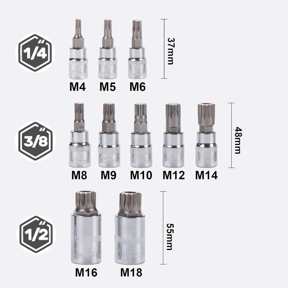 Spline Socket Bit Set 10Pcs Square Triple Silver M4 - M18