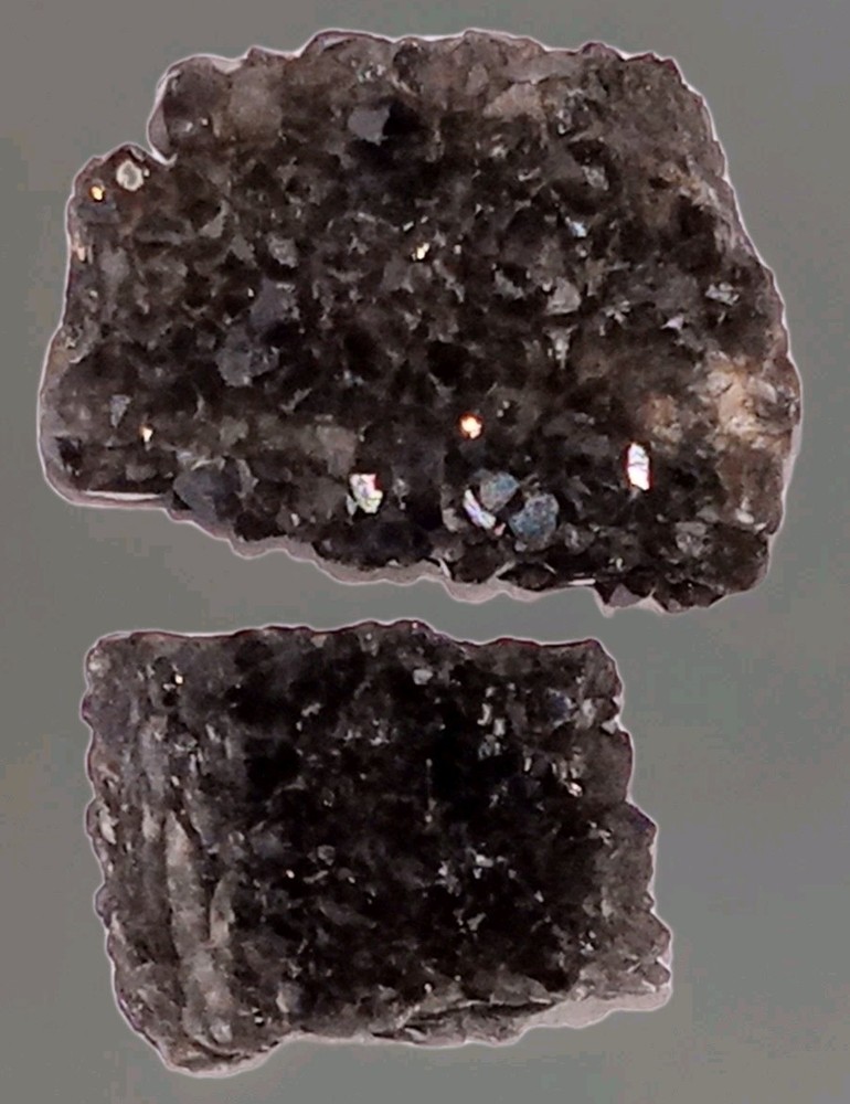 Petrified Wood with Black Quartz Crystals Specimens (2)