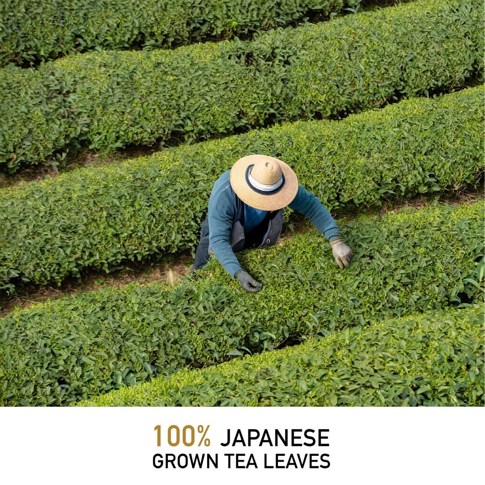 Leafmessage Tea - Premium Sencha Tea Bags Artisan Tea 極品煎茶 せんちゃ 12-pack