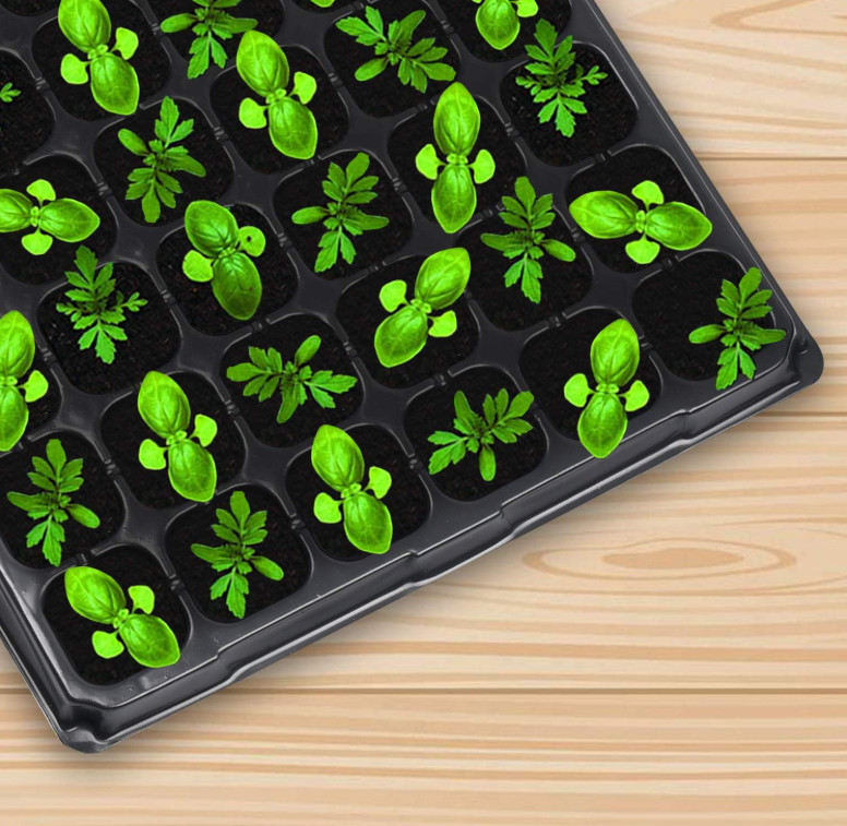 10-Pack Seed Starter Kit, 72-Cell Seedling Trays for Germination