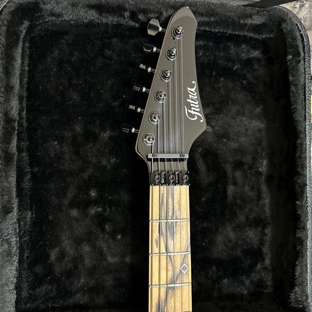 Futra/Mr. Nishio collaboration model, many customizations