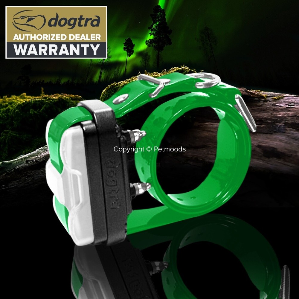 Dogtra Edge Dog Collar Receiver Green Strap