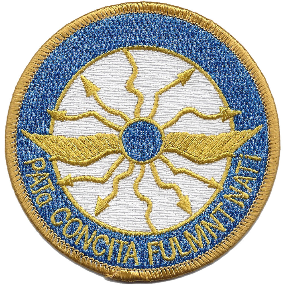 316th Cavalry Regiment Patch